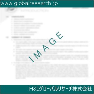 グローバルリサーチ調査資料のイメージ